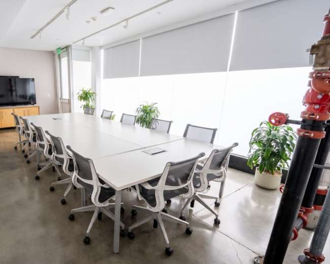 A large conference room features a long white table surrounded by ergonomic chairs, with plants and a television on one wall and large windows letting in natural light.