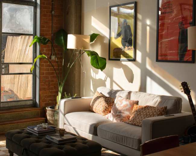 A bright living room features a gray sofa with patterned cushions, a large potted plant, and framed artwork on the walls, illuminated by sunlight filtering through a window.