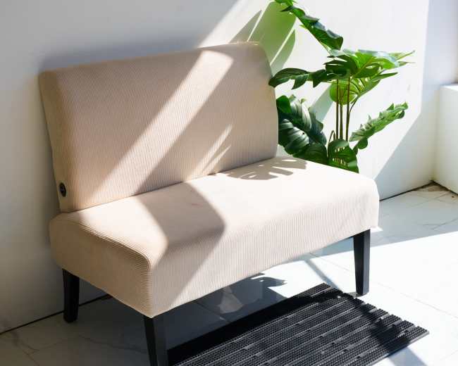 A beige two-seater sofa is positioned against a white wall, with a green plant beside it and sunlight casting shadows across the floor.