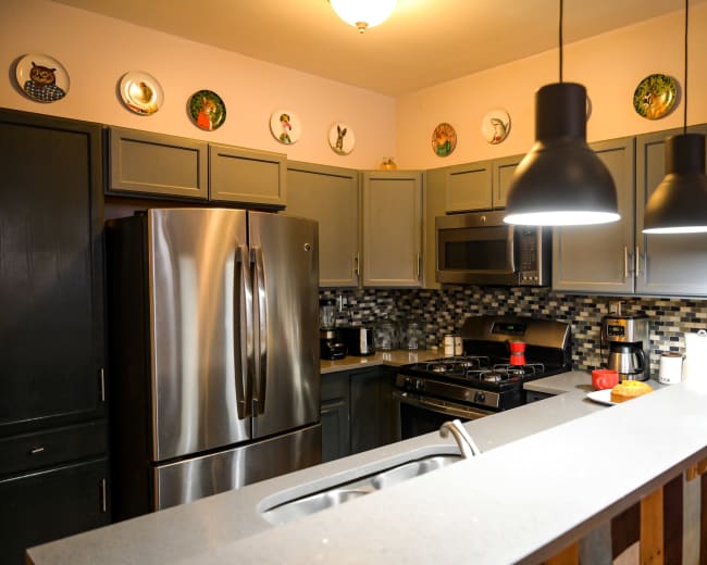 A modern kitchen with gray cabinets, stainless steel appliances, and decorative plates on the wall.
