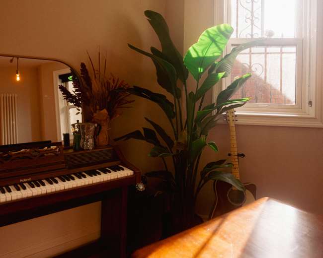 A wooden piano with a mirror above it sits next to a tall potted plant and an acoustic guitar against the wall, illuminated by natural light from a nearby window.