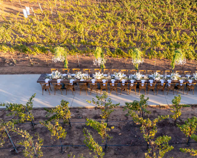A long wooden dining table is set with white tableware and surrounded by chairs, positioned in a vineyard with rows of grapevines extending into the background.