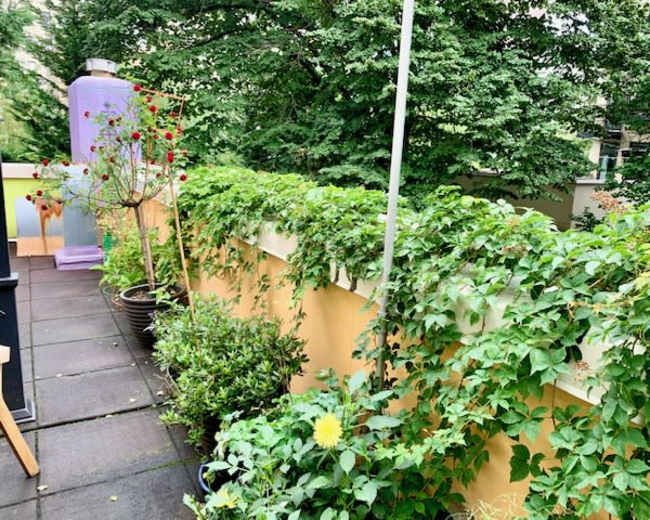 A balcony garden features potted plants and climbing vines along a wall, with trees and buildings visible in the background.