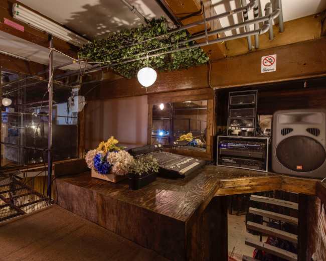 A dimly lit music studio with a wooden mixing desk, audio equipment, and decorative plants hanging from the ceiling.