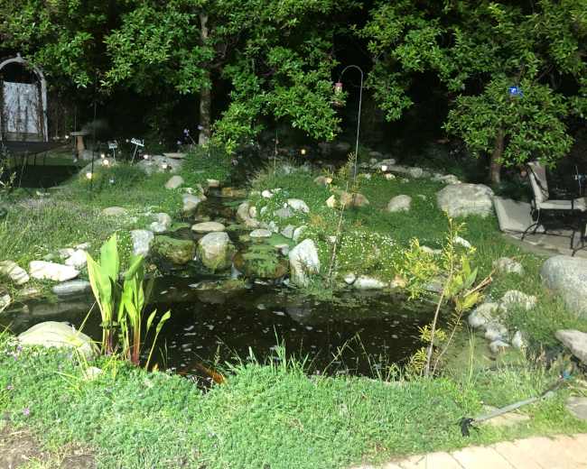 The image shows a serene garden area with a pond surrounded by rocks, plants, and seating, illuminated softly by garden lights.