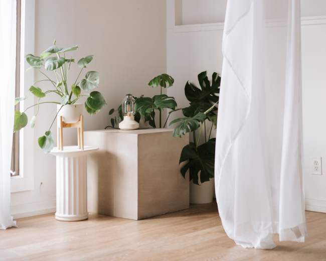 A sheer white curtain drapes from a ceiling-mounted track, beside a tall potted plant and a geometric pedestal in a minimalist room.