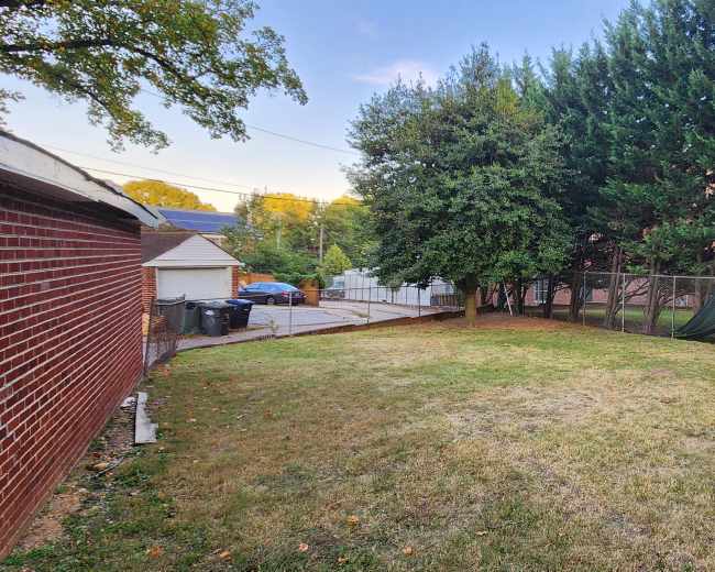 The image shows a grassy backyard bordered by a fence and tall evergreen trees, with a glimpse of a nearby shed and paved area.