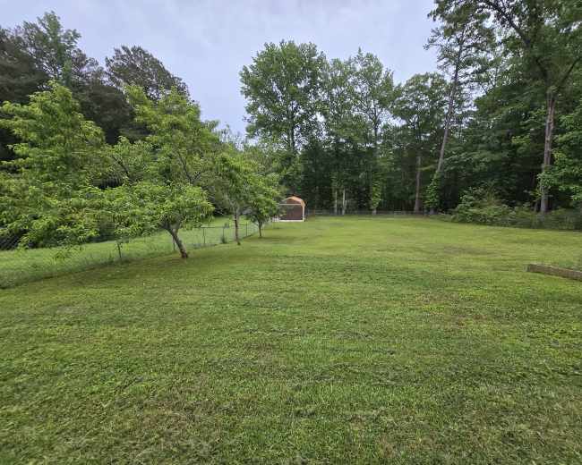 A well-maintained grassy yard bordered by trees, with a small shed in the distance.