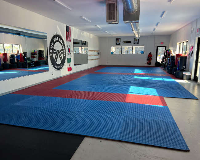 The image shows a spacious martial arts studio with blue and red mats, mirrors on one wall, and various training equipment arranged around the room.