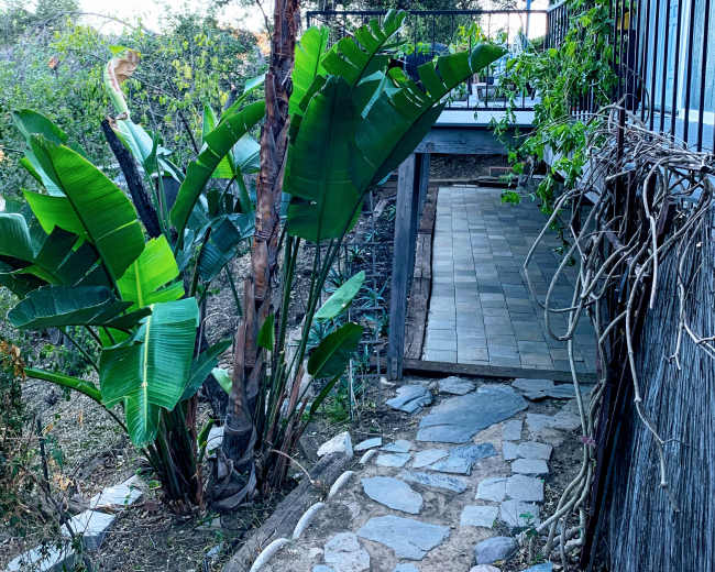 A pathway made of stone leads through lush greenery to a tiled area next to a wooden structure.