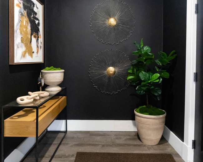 A modern entryway features dark walls, a wooden console table, two decorative wall hangings, and potted plants.