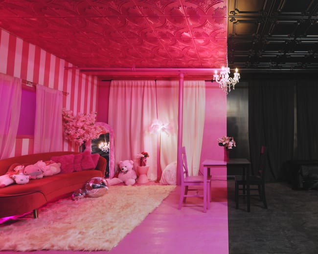 The image features a split room design with one side showcasing a pink, plush area with a sofa and stuffed animals, while the other side is a dark, sophisticated space with a bed and elegant decor.