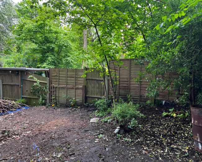 The image shows a wooded area with a fence, a few trees, and a patch of earth covered in fallen leaves.