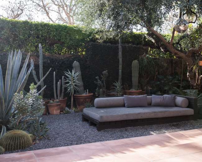 A large outdoor lounge area features a gray sectional sofa surrounded by various potted plants and cacti in a garden setting.
