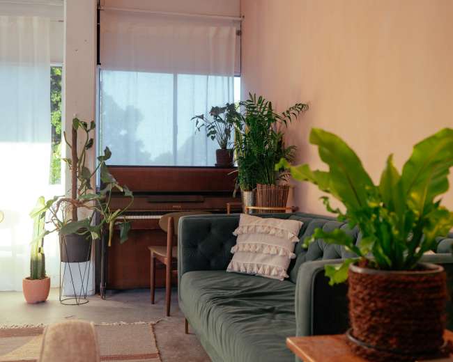 The image shows a cozy living room with a green sofa, a wooden piano, various indoor plants, and natural light filtering through sheer curtains.