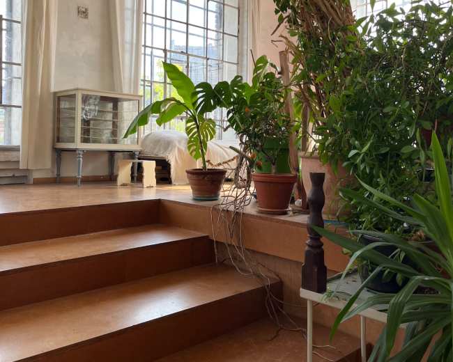 The image shows a well-lit interior space featuring multiple potted plants, a set of wooden stairs, and large windows allowing natural light to enter.