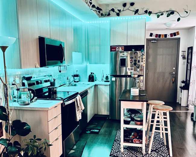 A modern kitchen features stainless steel appliances, wooden cabinetry, and blue LED lighting along the ceiling, with plants adorning the space.