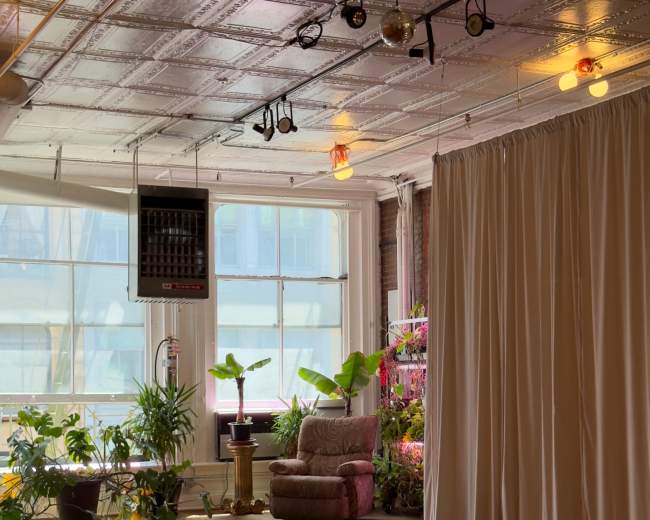 The image shows a spacious room with large windows, plants scattered throughout, and a beige curtain separating a sitting area with a plush chair.