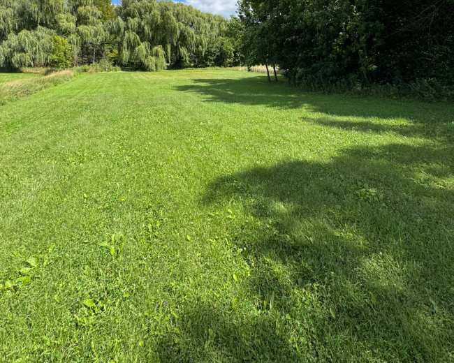 A grassy field with trees lining one side under a partly cloudy sky.