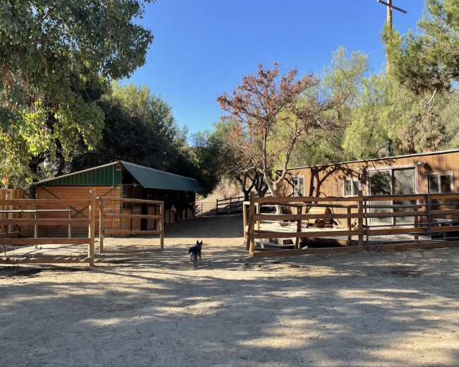 The image shows a dirt area with two wooden structures, a fenced enclosure, and a small dog walking near the buildings.