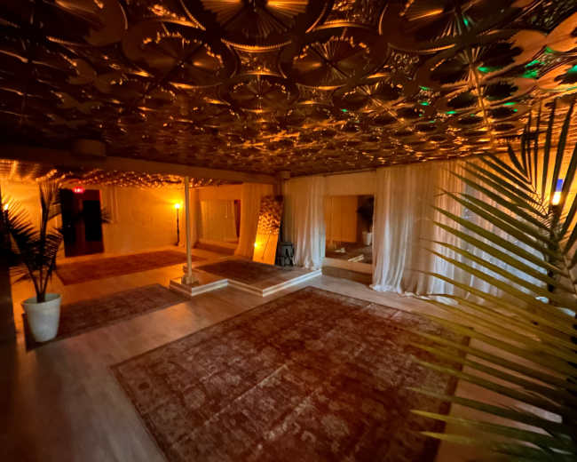 The image depicts a dimly lit room with a patterned ceiling, wooden flooring, and several rugs, along with curtains and potted plants.