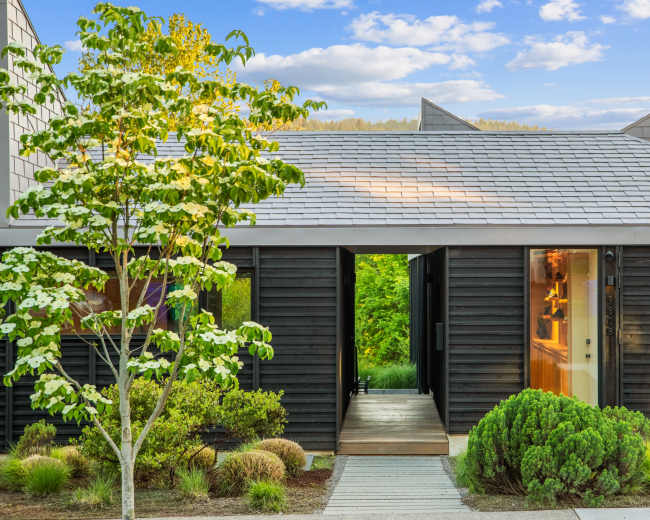 A modern, dark-colored house with a sloped gray roof features a central entrance flanked by landscaped greenery and a pathway.