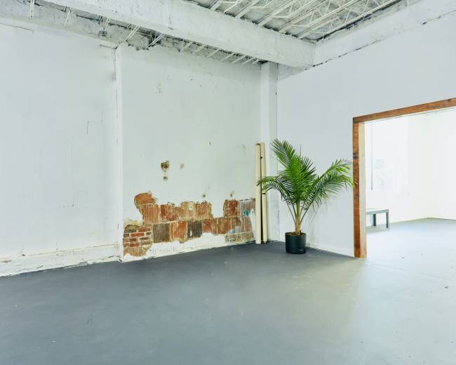 The image shows an empty room with a partially exposed brick wall, a potted plant in one corner, and a doorway leading to another area.