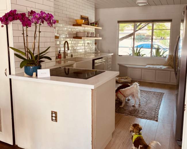 A modern kitchen features a white tile backsplash, a countertop with a stovetop, and a window seat, while two dogs explore the space.