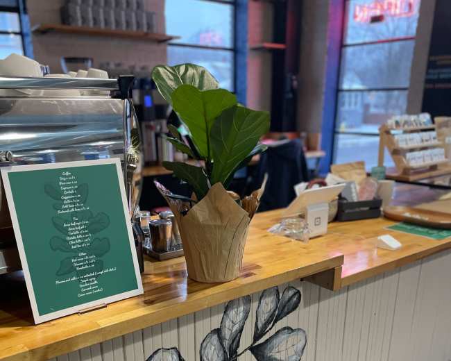 A coffee shop counter featuring a menu on a green board, a potted plant, and a wall with a leaf mural.
