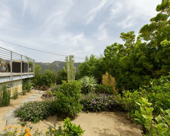 A landscaped garden with various plants and a cactus is visible beside a modern building, overlooking a mountainous area.