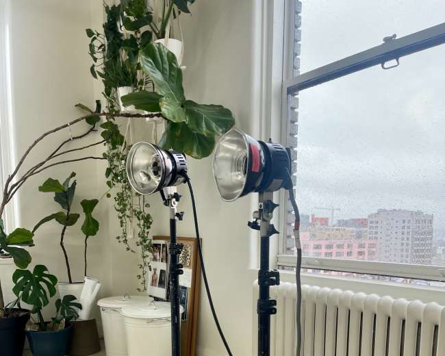Two studio lights on tripods are positioned near a window in a room with plants and a radiator.