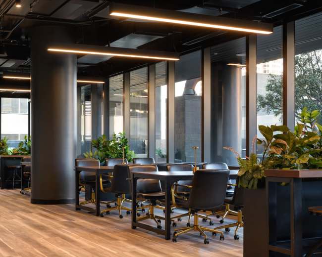A modern office space features long communal tables, ergonomic chairs, and large windows with plants placed throughout the area.