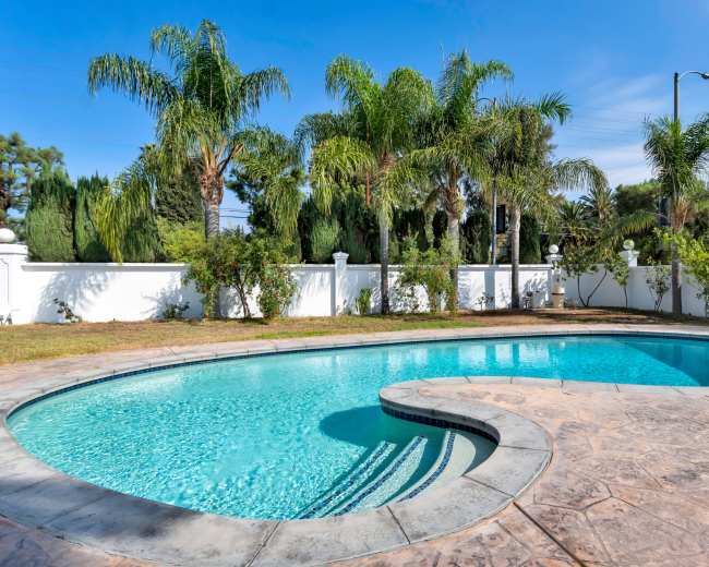 A curved swimming pool surrounded by palm trees and a white wall in a sunny outdoor setting.