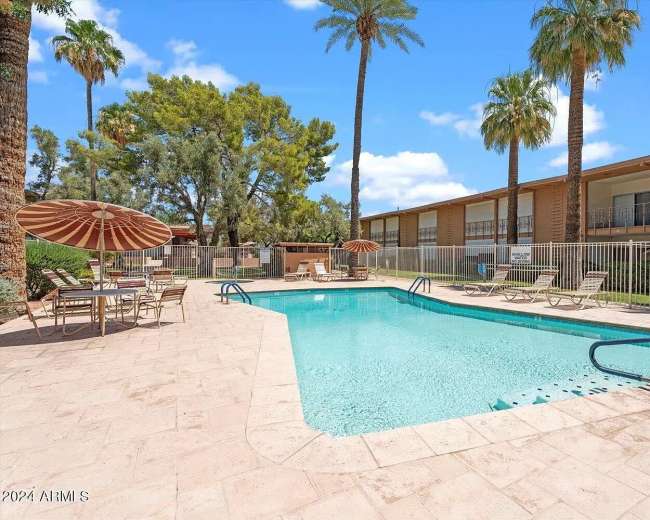 The image shows a swimming pool surrounded by palm trees, lounge chairs, and umbrellas, with an apartment building in the background.