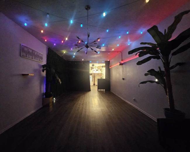 The image shows a spacious interior with colorful lights strung across the ceiling, a large plant in the corner, and a darkened area at the back.