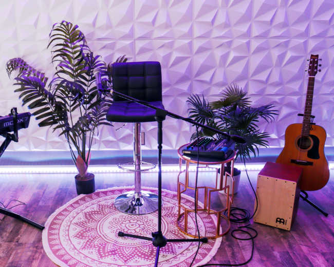 A music setup features a black stool, microphone, keyboard, guitar, and potted plants on a decorative rug against a textured wall.