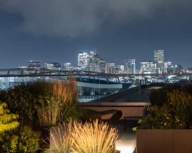 A rooftop garden overlooks a city skyline illuminated at night, with various plants and seating visible in the foreground.