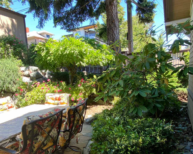 A patio area with two patterned chairs is surrounded by various greenery and flowers.