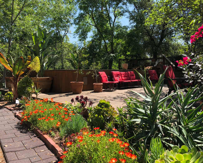 A wooden deck with red chairs is surrounded by colorful flowers and lush greenery.