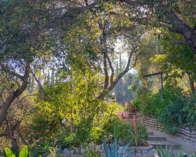 A stone pathway leads through lush greenery and trees to a seating area in a garden.