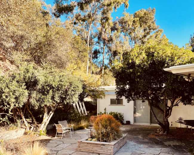 A stone patio with sparse vegetation features a raised planter and a bench under tall trees in a tranquil outdoor space.