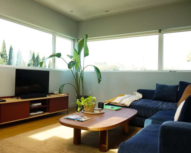 The scene depicts a modern living room featuring a blue sectional sofa, a wooden coffee table, a television console, and a large potted plant, with windows offering a view of greenery outside.