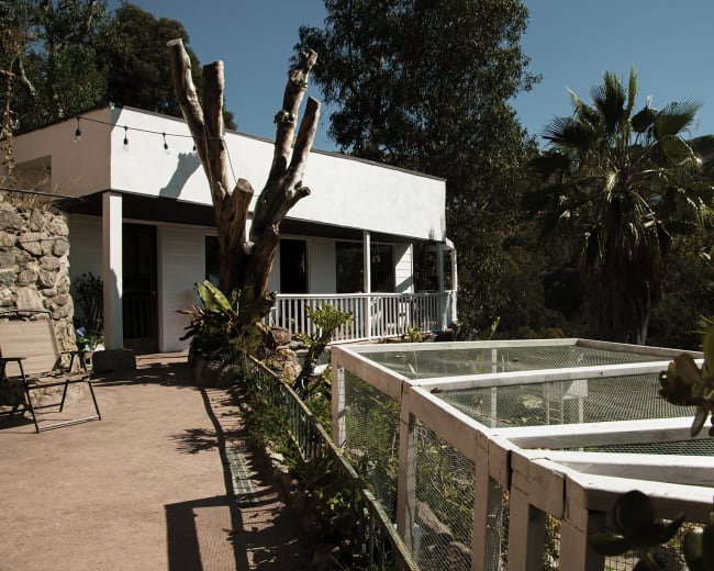 A white house with a porch is surrounded by trees and plants, with a fenced garden area in the foreground.