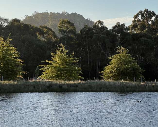 A calm water body reflects trees and a rocky hill under a clear sky.