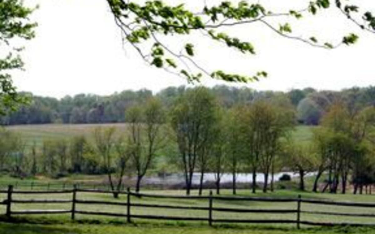 Pleasant Hills Farm (Flower Farm, Horses, Donkeys, Chickens, Guest
