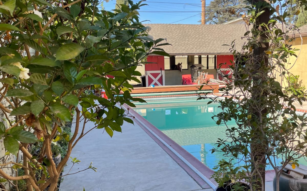 Ranch house with barn, horses and pool (no swimming) for photography ...