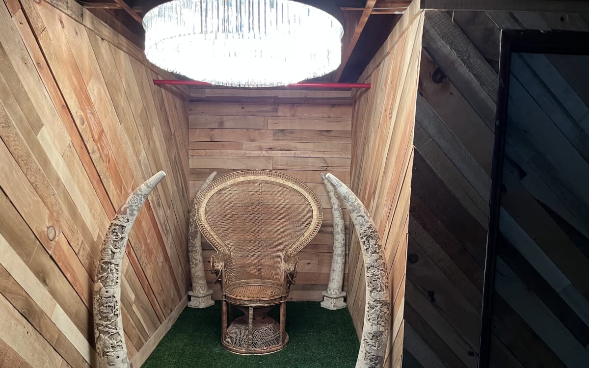 Wicker throne store