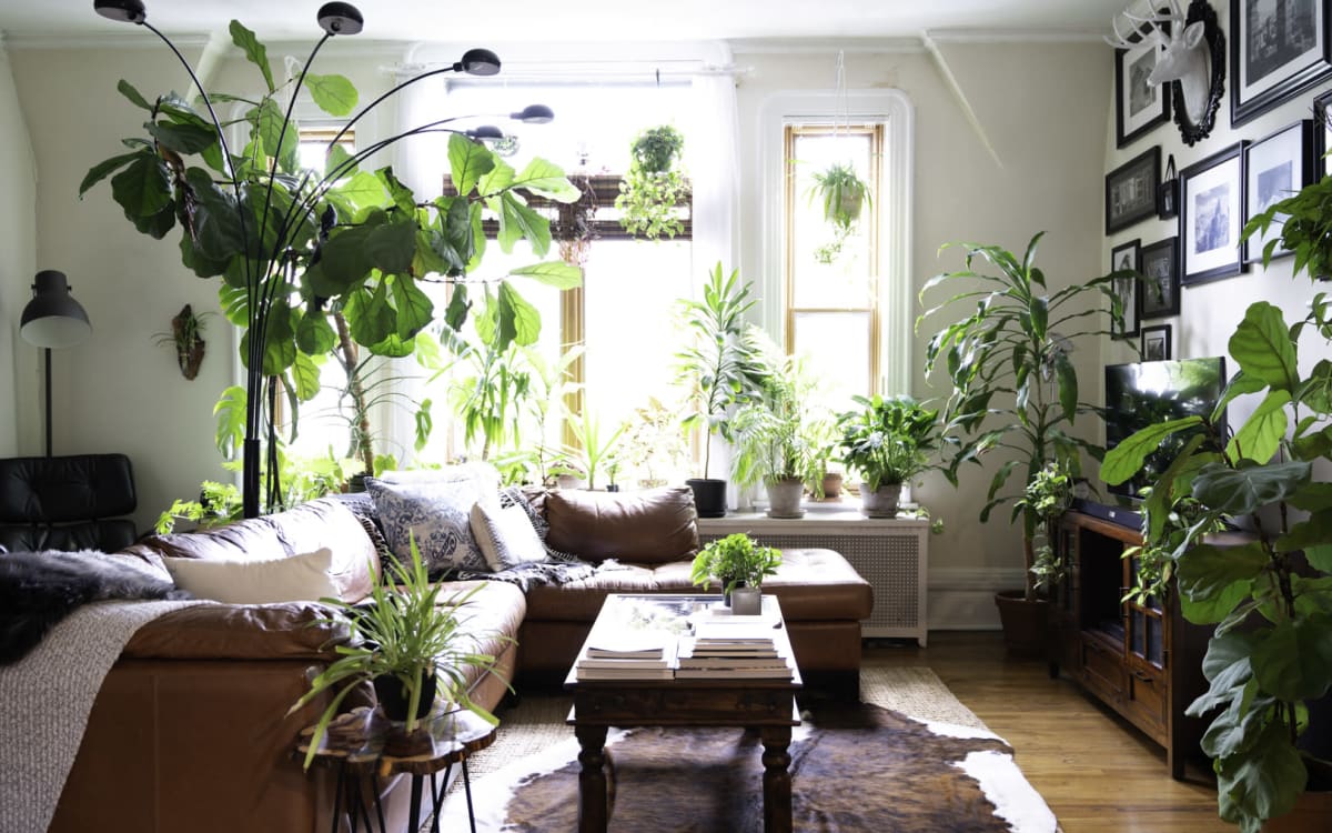 Picture of 80 Tropical Urban Jungle Inspiration ideas - Pinterest Login