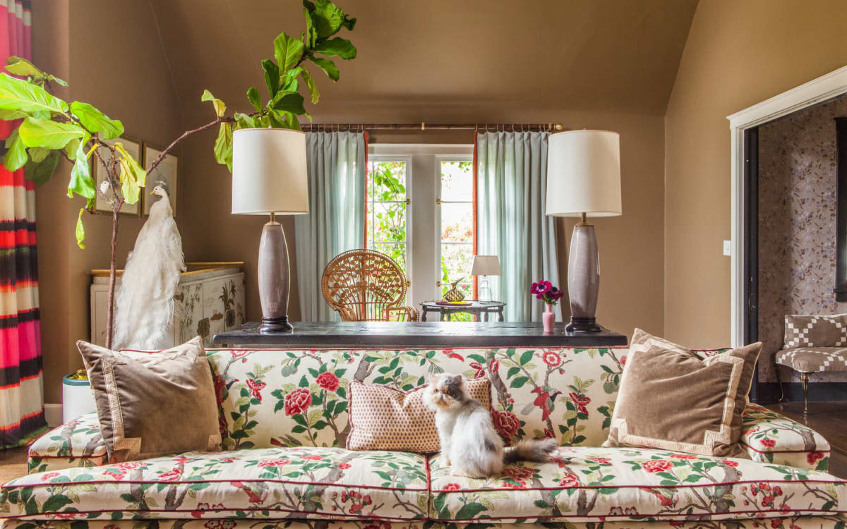 Cherry Blossom in Oakland, Oakland, CA OffSite Peerspace