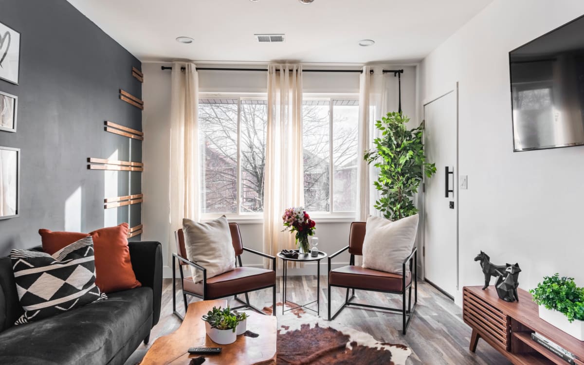 Curated visual reference: Visual Reference: Gorgeous Hidden Gem Apartment Inner City Urban Oasis Detroit Mi